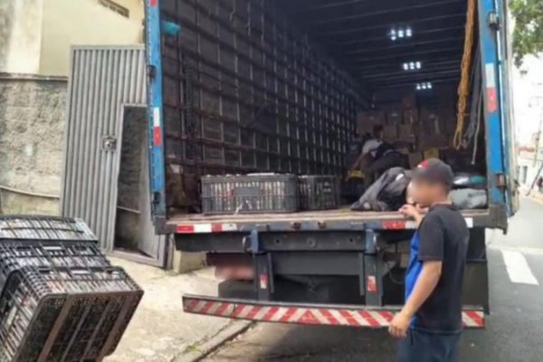 [Operação contra falsificação de bebidas prende 5 pessoas e mais de 500 mil garrafas ]