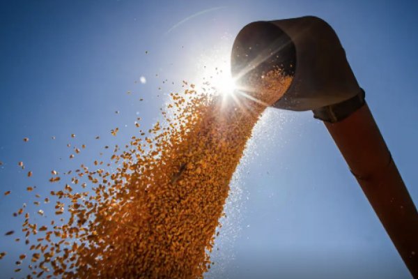 [Safra de grãos deve cair em 2026, após recorde em 2025, projeta IBGE]