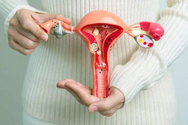 [Clínica com foco em menopausa celebra lançamento com conversa sobre saúde feminina! ]