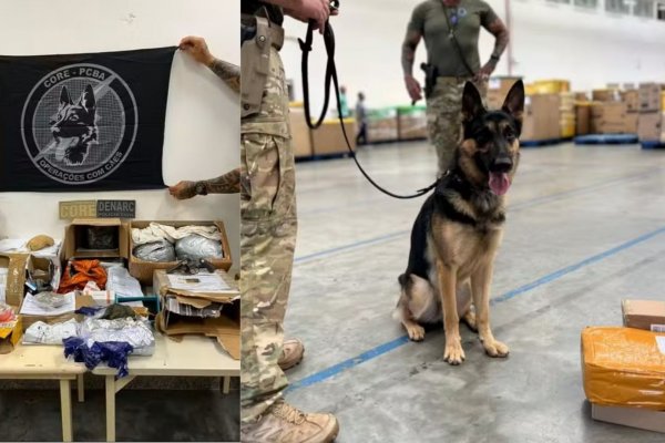 [Drogas e arma são apreendidas no Centro de Operações dos Correios, em Simões Filho ]