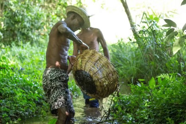 [Comunidade baiana recebe reconhecimento de remanescente quilombola; Bahia tem mais de 900 certificadas]
