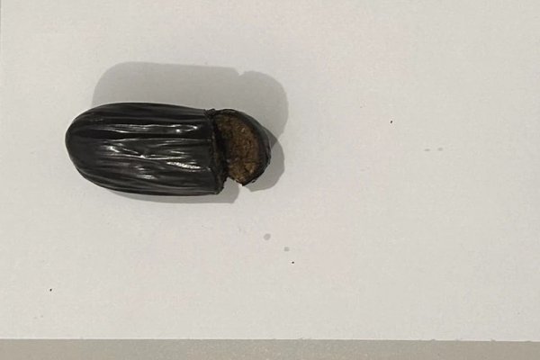 [Mulher é presa ao tentar entrar com drogas nas partes íntimas em presídio na Bahia]