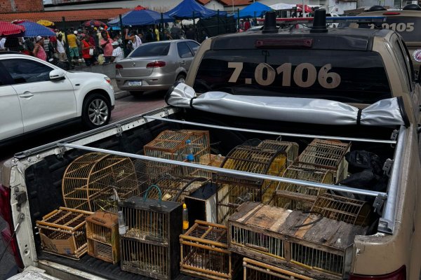[Aves silvestres são apreendidas pela PM em Simões Filho]