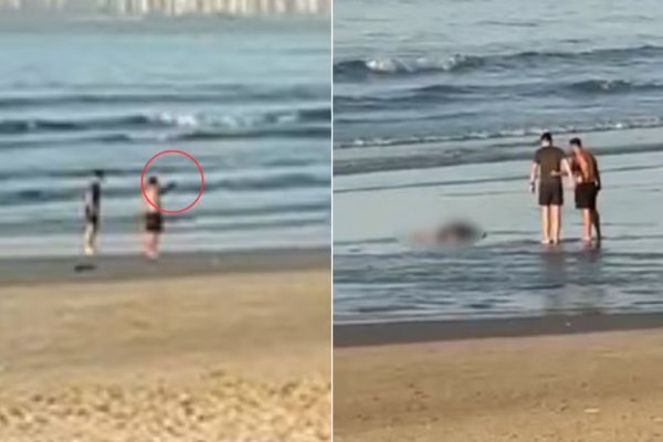 [Vídeo: Militar do Exército persegue e atira contra suspeito de assalto no Guarujá]