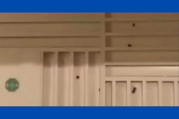 [Casa de subtenente da PM é alvo de ataque a tiros no interior da Bahia]