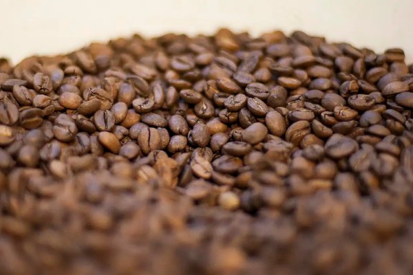 [Preço do café deve continuar em queda em 2026]