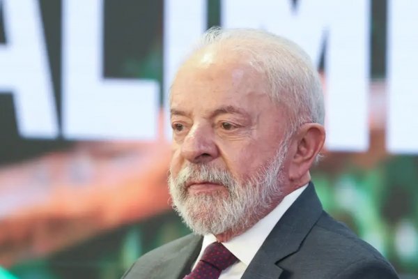 [Lula sanciona lei que libera poda ou remoção de árvores que apresentem riscos de acidentes; entenda]