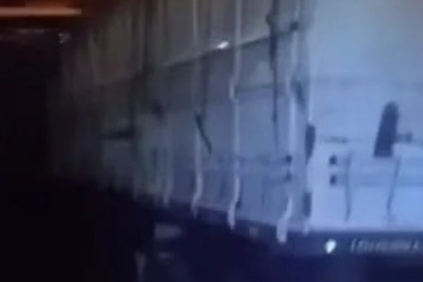 [Avaliada em R$ 2 milhões, carga de café roubada é encontrada na Bahia ]