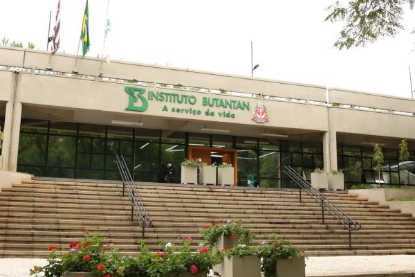 [Butantan vai produzir remédio contra o câncer para o SUS]