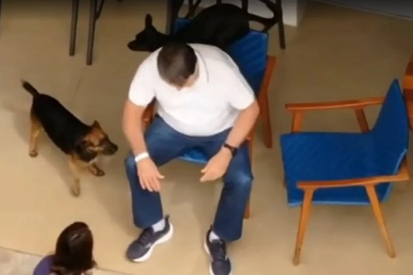 [Prisão domiciliar: Moraes proíbe drones no entorno da casa de Bolsonaro em Brasília]