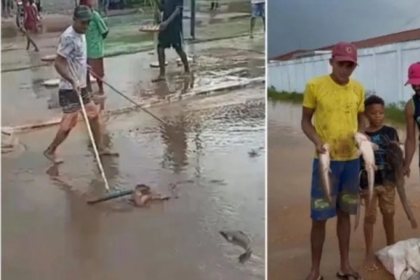 [Vídeo: moradores de Ipiaú encontram dezenas de peixes nas ruas após fortes chuvas ]
