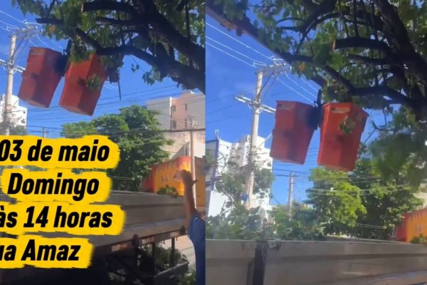 [Vídeo: Podas drásticas em bairro nobre de Salvador são denunciadas nas redes sociais]