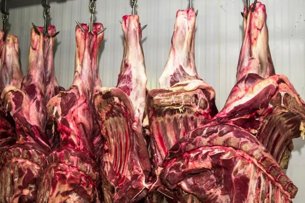 [EUA investigam empresas brasileiras por preços da carne]