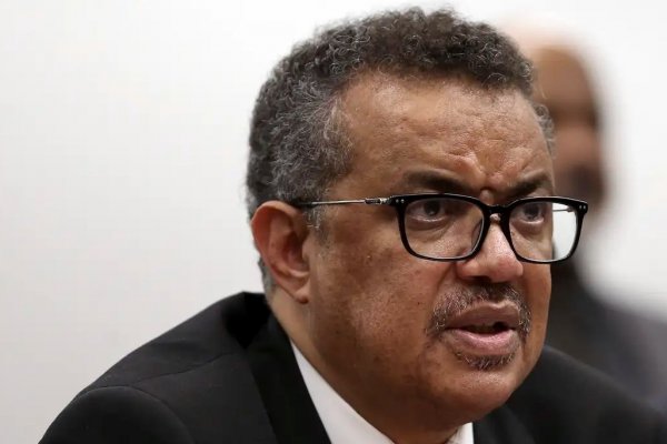 [Surto de hantavírus não tem potencial pandêmico e risco global é baixo, diz OMS]