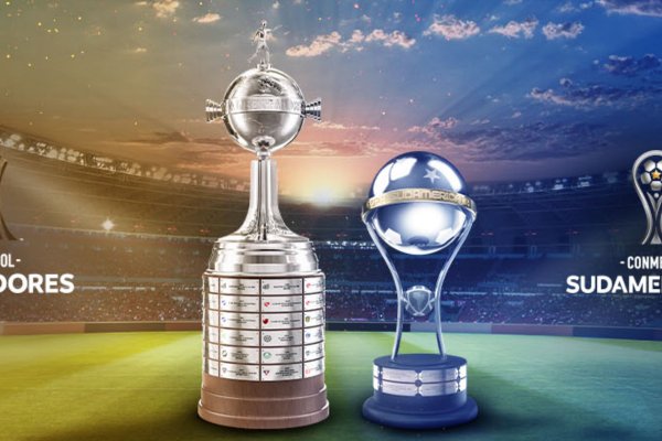 [Convocados para a Copa poderão jogar Libertadores e Sul-Americana antes do Mundial]
