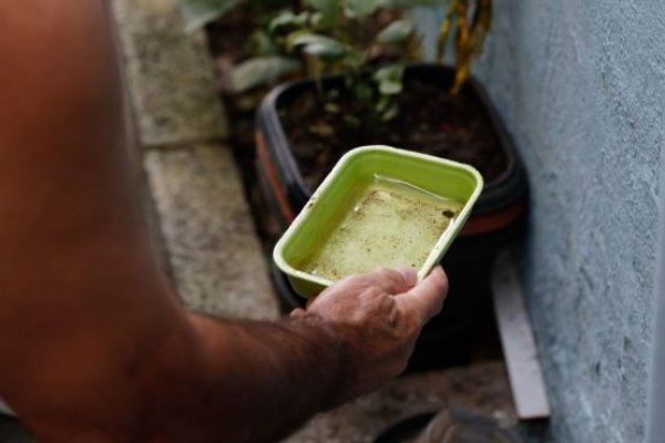 [Bahia tem queda de 41% em casos de dengue ]
