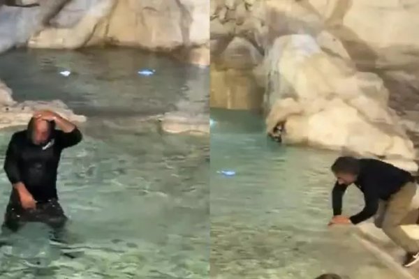 [Vídeo: Turista mergulha na Fontana di Trevi, na Itália, e recebe multa de 500€]