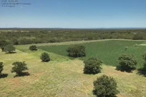 [Cerca de 200 mil pés de maconha são erradicados durante operação na Chapada Diamantina]