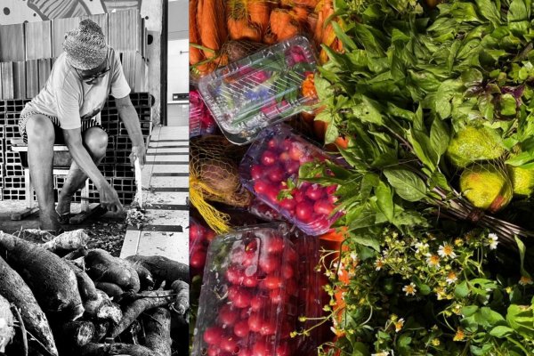 [Encontro sobre pesquisas em gastronomia do Brasil ocorre em Salvador]