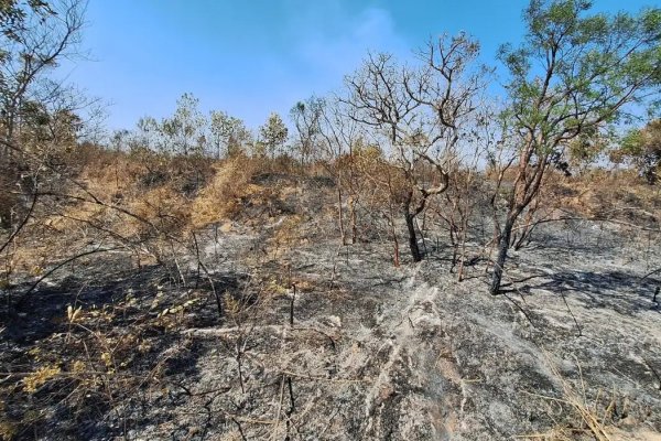 [Mudanças climáticas já afetam 85% dos brasileiros, diz pesquisa]