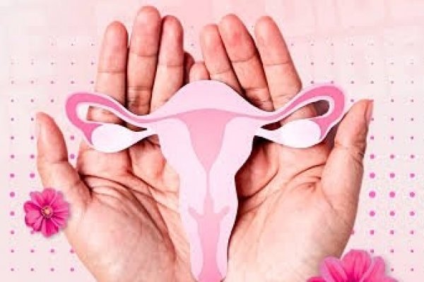 [Questões físicas, emocionais e sociais ainda recebem pouca atenção no cuidado à mulher idosa, alertam profissionais! ]