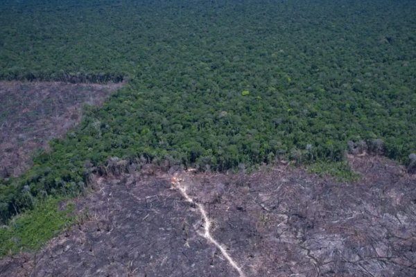 [Fachin determina que governo apresente plano de desocupação da Terra Indígena, no Pará]
