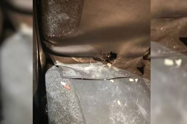 [Dois homens são presos após confusão com policiais em festa de paredão em Salvador ]