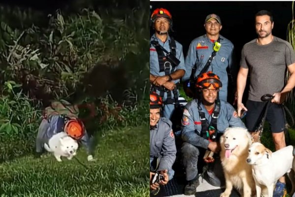 [Vídeo: Cadela é resgatada pelo Corpo de Bombeiro após cair 40 metros em penhasco]