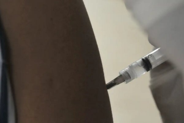 [Investigação vai decidir como vacina da dengue poderá ser utilizada de forma segura, diz Padilha]
