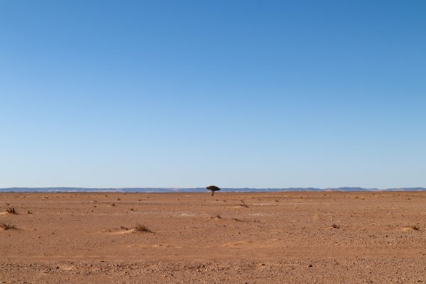 [Ar seco extremo deixa 103 cidades baianas em alerta ]