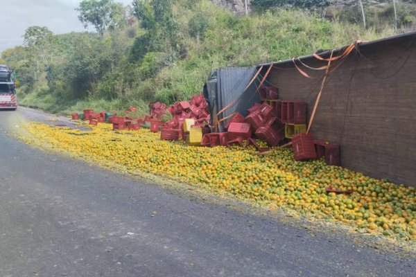 [Dois caminhões colidem em trecho da BR-101 na Bahia; carga foi saqueada ]