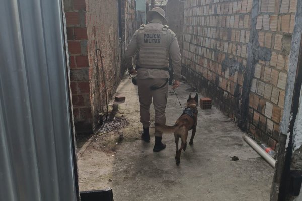 [Dupla é presa suspeita de quatro tentativas de homicídios em Ilhéus]