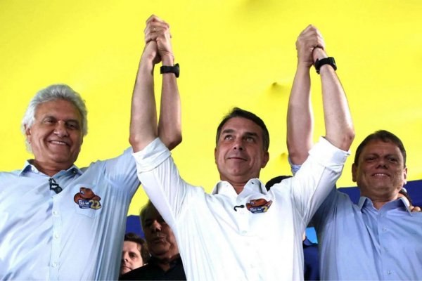 [Flávio Bolsonaro fala em usar maioria no Congresso para mudar a Constituição e 'redemocratizar o país']