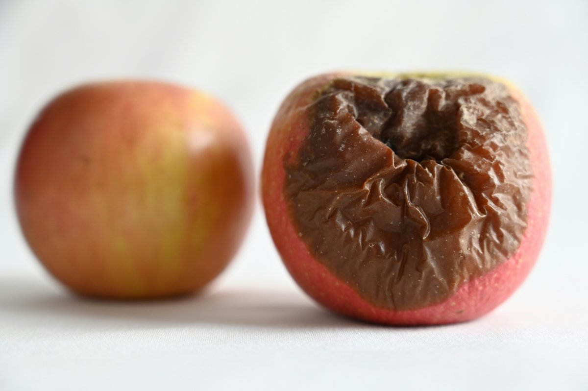 A fruta podre