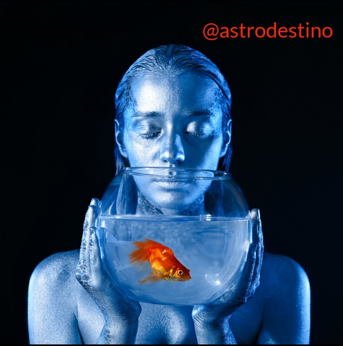 Horóscopo da semana - Previsões de Andreia Modesto