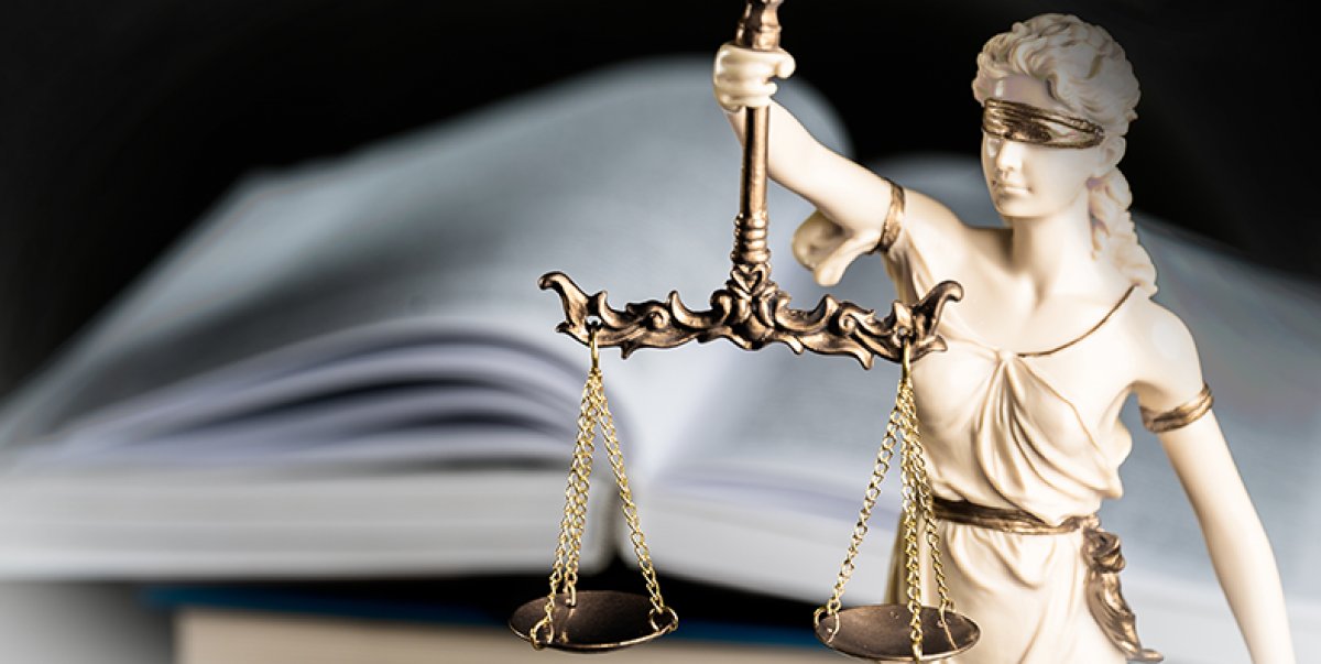 Confira novas dicas da advogada Camila Nery sobre direitos da população