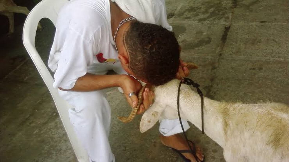 Sacrifício: as mais diversas formas de adorar os Orixás