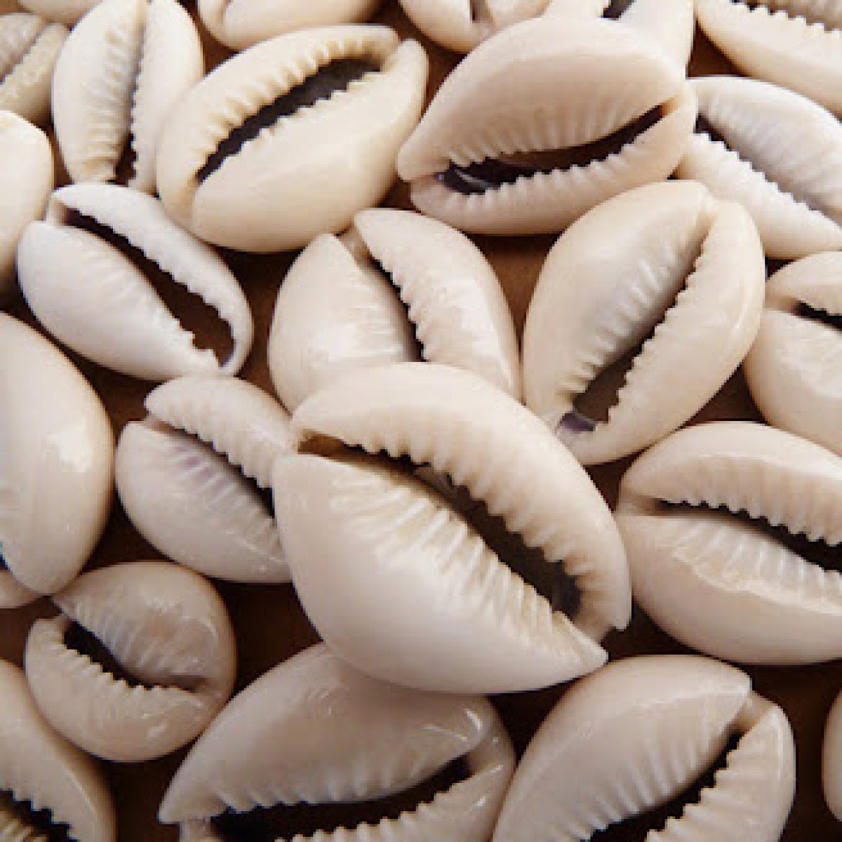 Dinheiro do chão: uma troca de energia