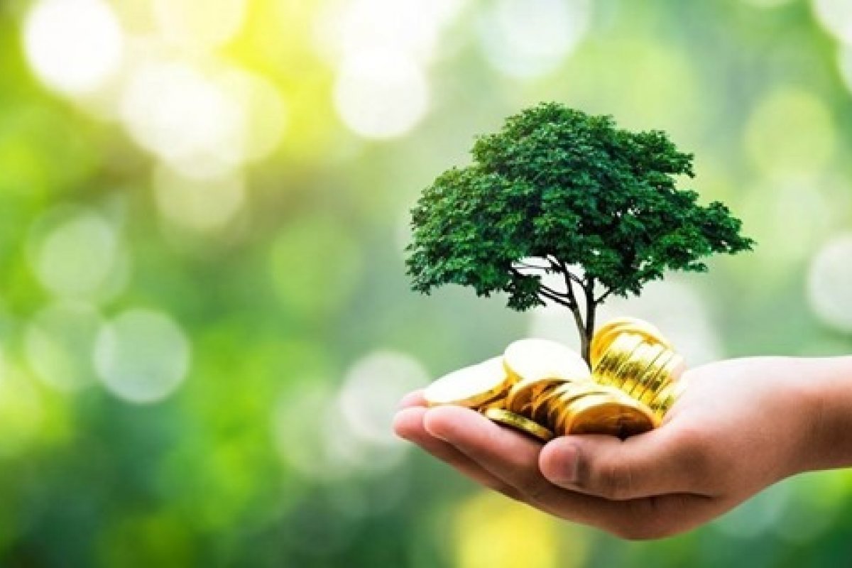 US$ 28 bilhões será o investimento do Brasil na cadeia do mercado de hidrogênio verde até 2030