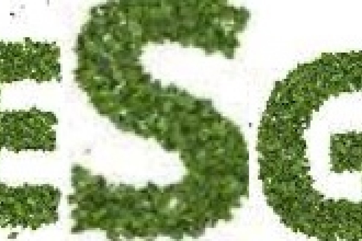 ESG ou ESG ? Precisamos repensar