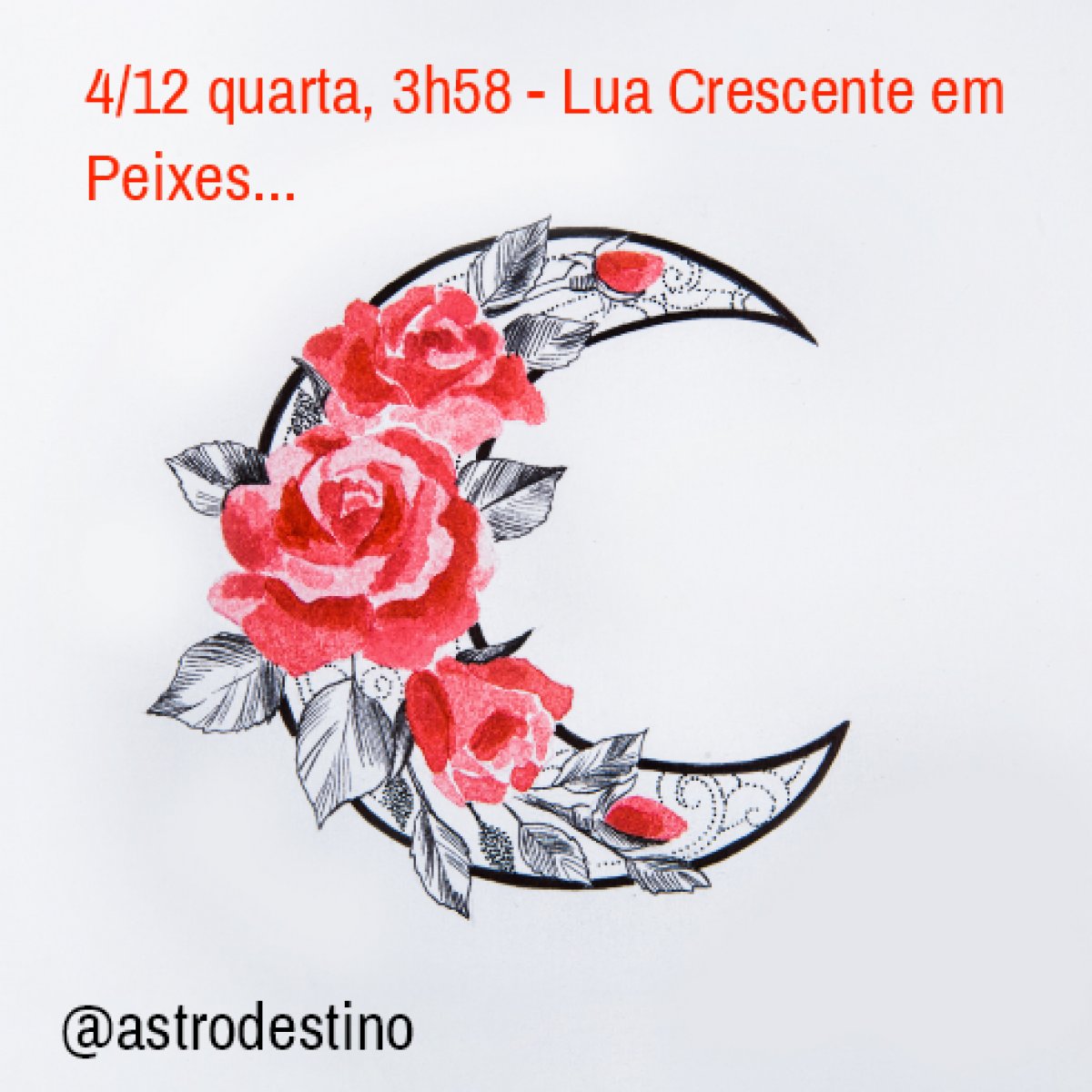 Lua Crescente em Peixes
