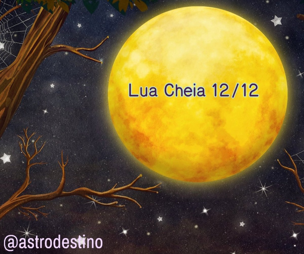 Horóscopo da semana: Lua Amarela