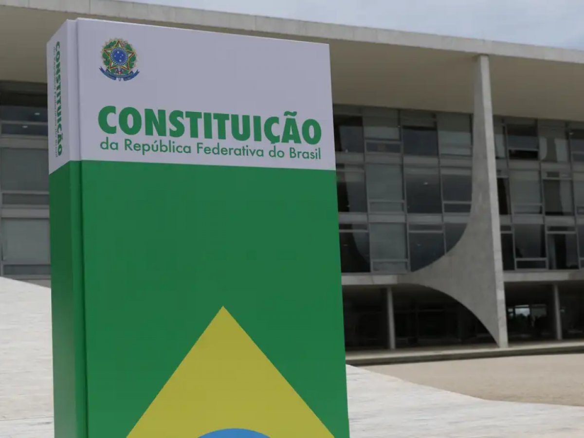 Uma flor nasceu na rua