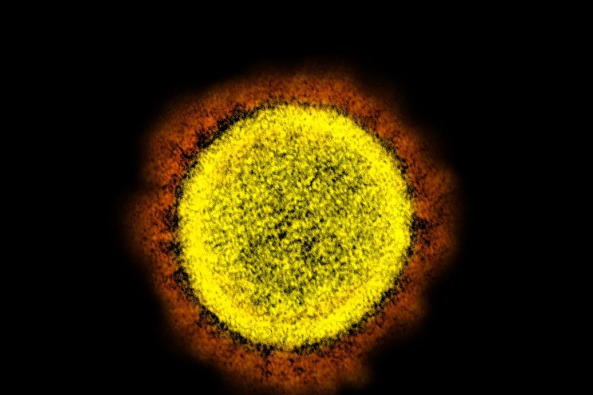 Ômicron no Brasil: um cenário possível