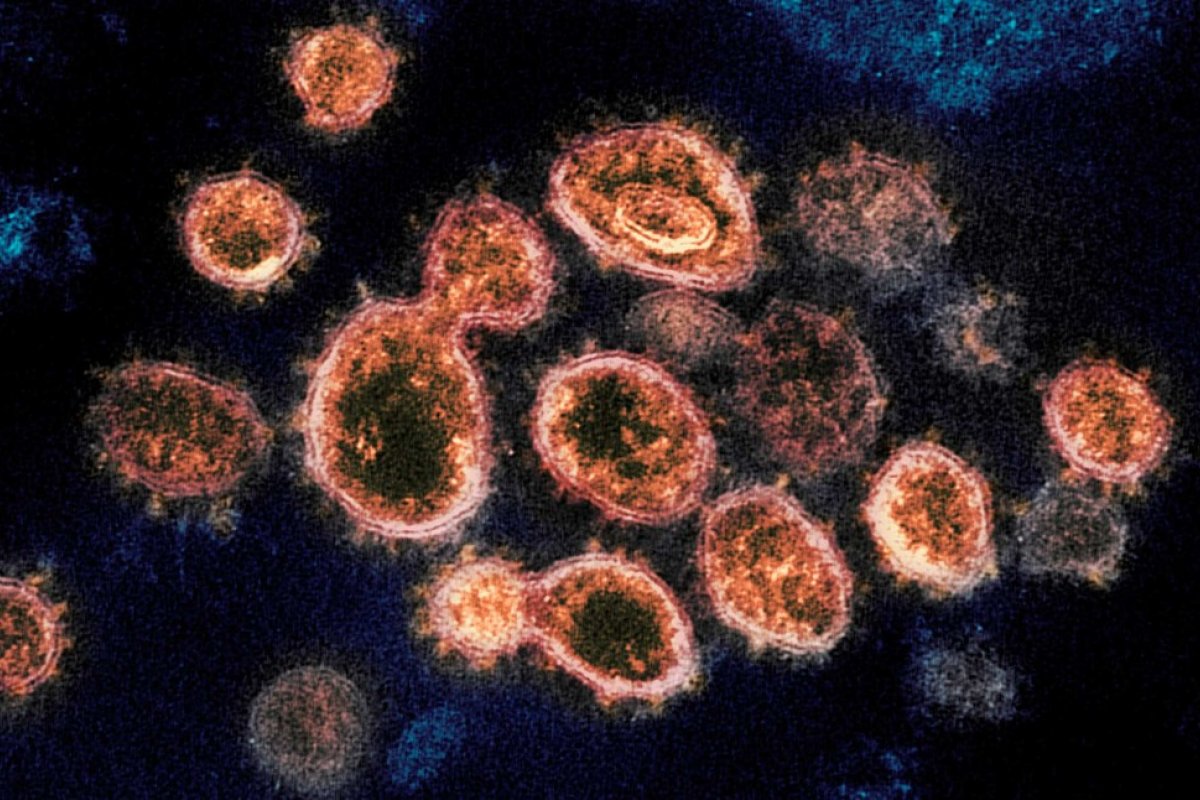 Ômicron é identificada em 31% dos casos de Covid-19 no Brasil em dezembro, afirma estudo