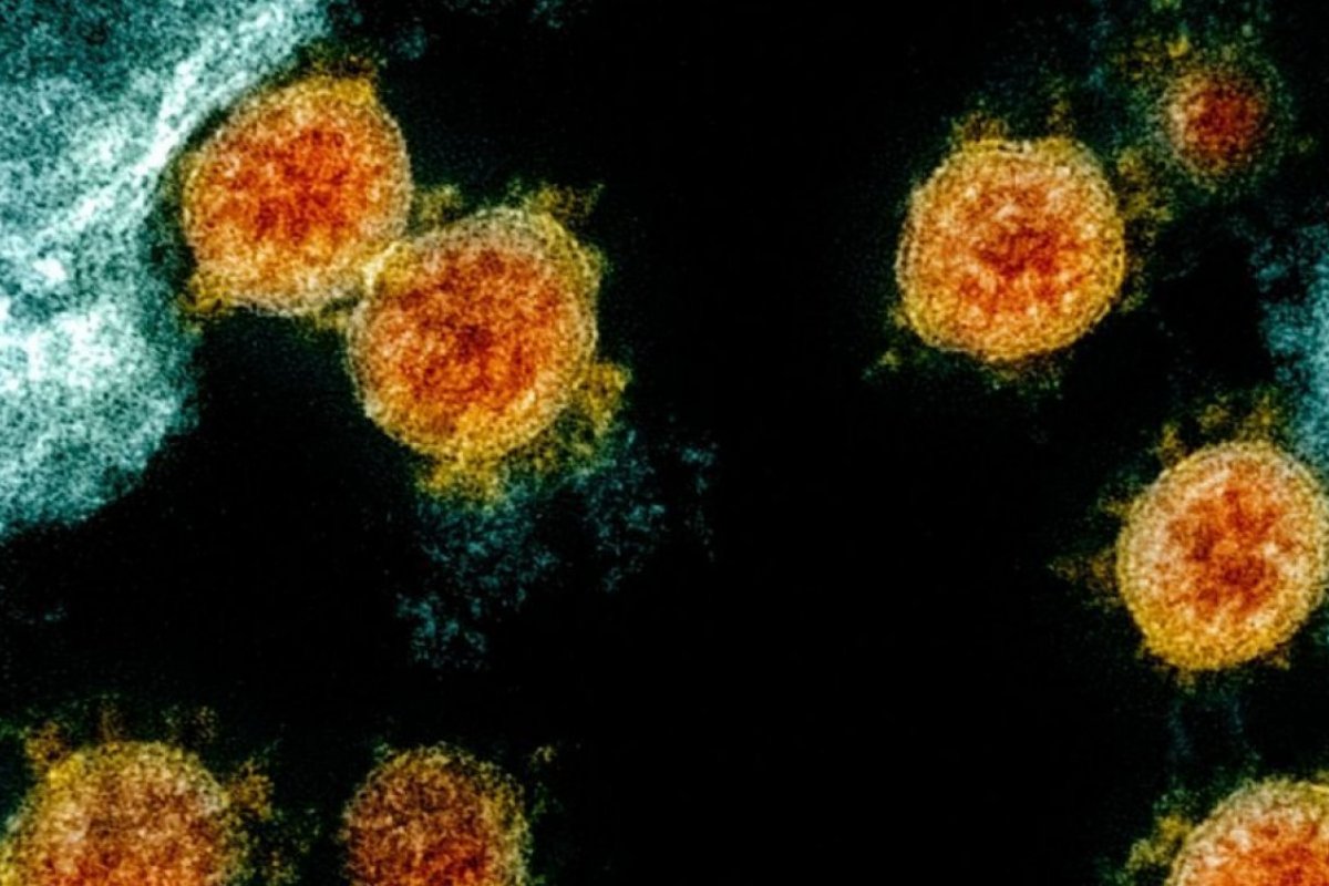 Risco de hospitalização da variante Ômicron é cerca de 1/3 da Delta, indica estudo britânico