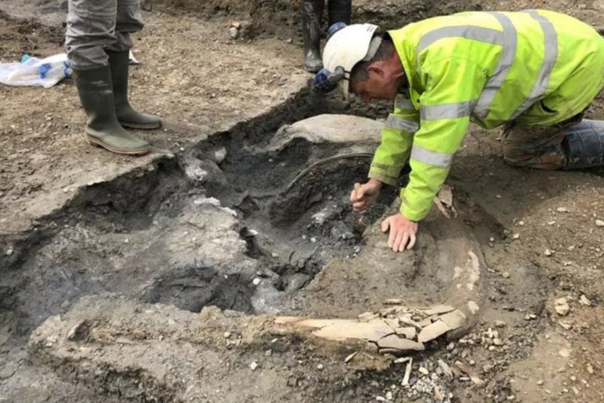 ‘Cemitério’ de mamutes com mais de 200 mil anos é encontrado na Inglaterra