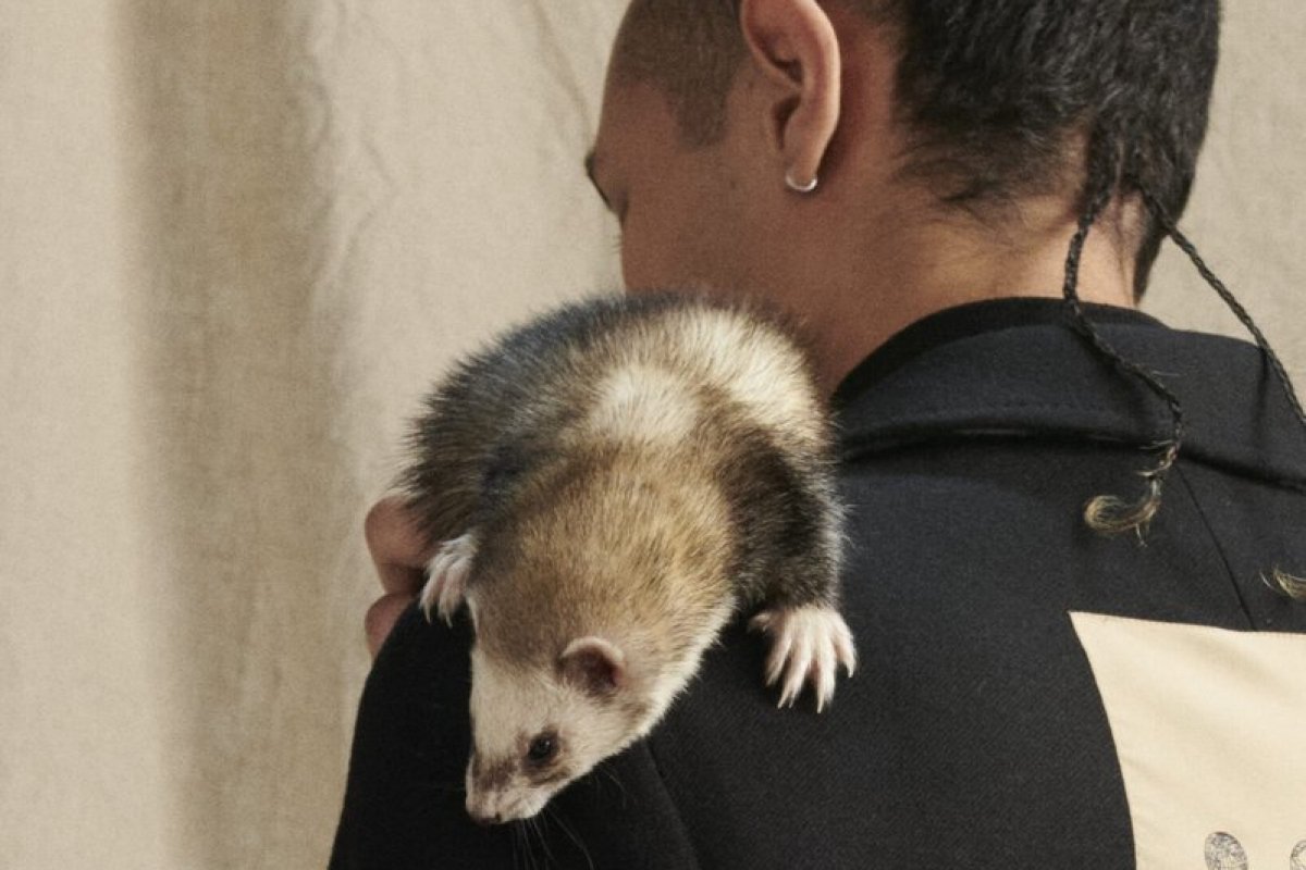 Burberry lançará nova série criativa "Friends and Family"