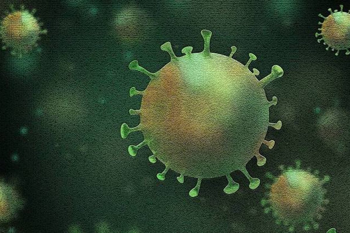 Sistema imunológico de vacinados e reinfectados resiste à Ômicron, aponta estudo