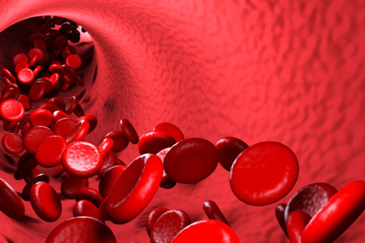 Brasil investirá R$ 1,8 milhão em medicamentos para hemofílicos